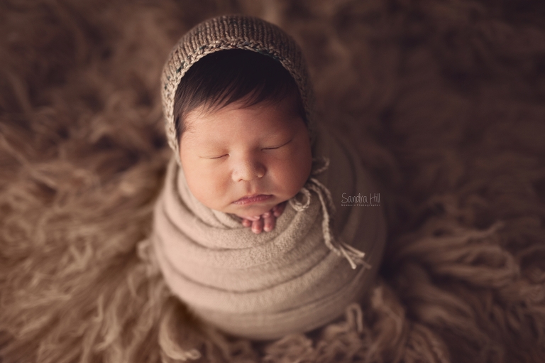 Brantford Ontario Newborn Photographer