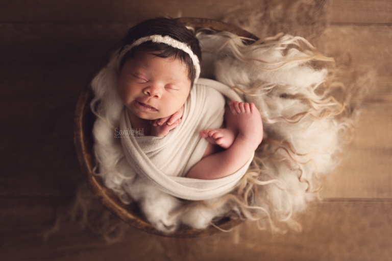newborn photographers hamilton