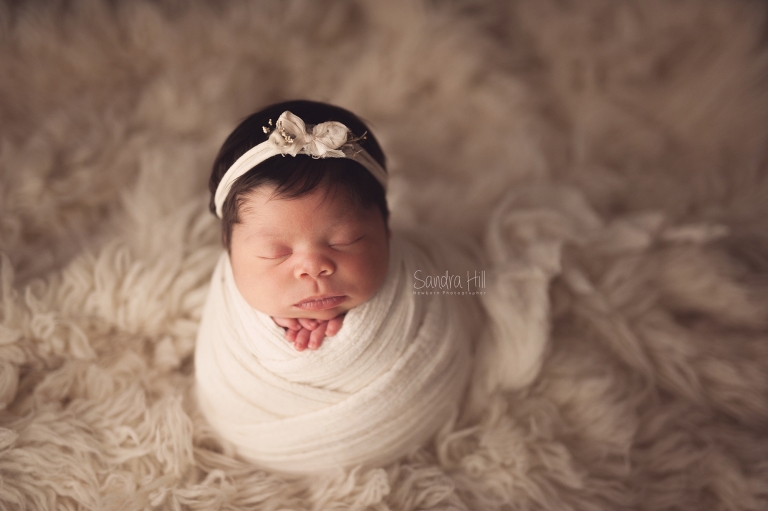 newborn photographers hamilton