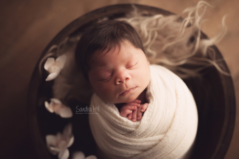 newborn photographers hamilton