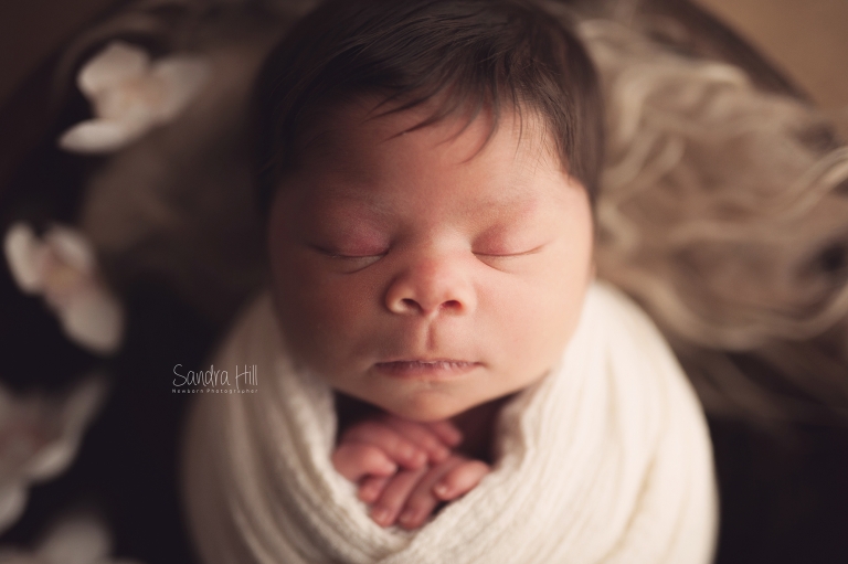 newborn photographers hamilton