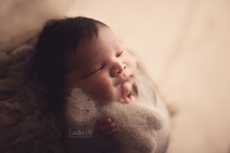 newborn photographers hamilton ontario