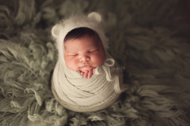newborn photographers hamilton ontario