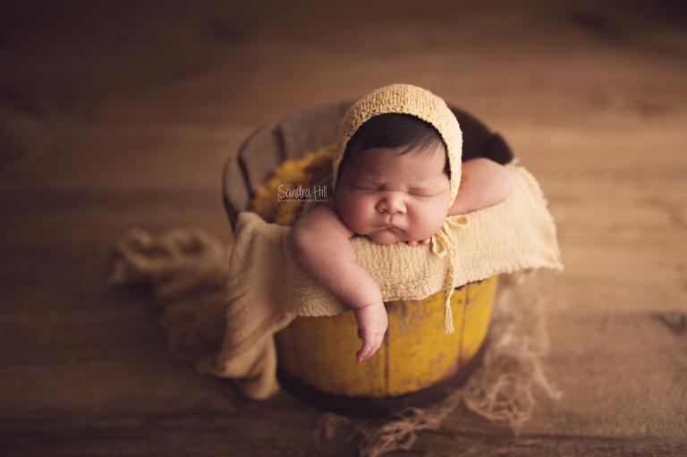 newborn photographers hamilton ontario