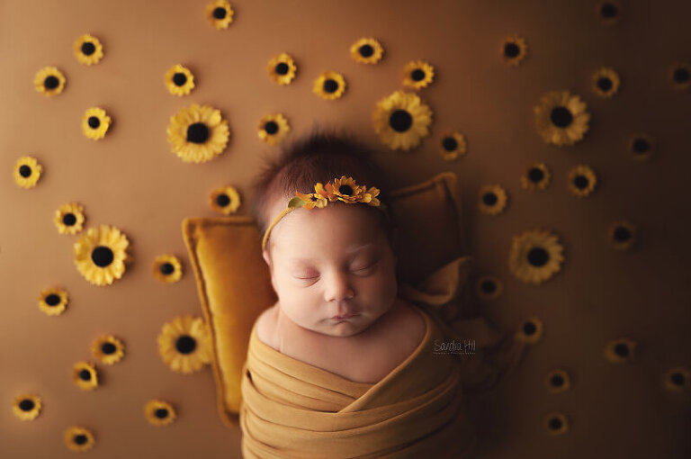best baby photography Hamilton ON