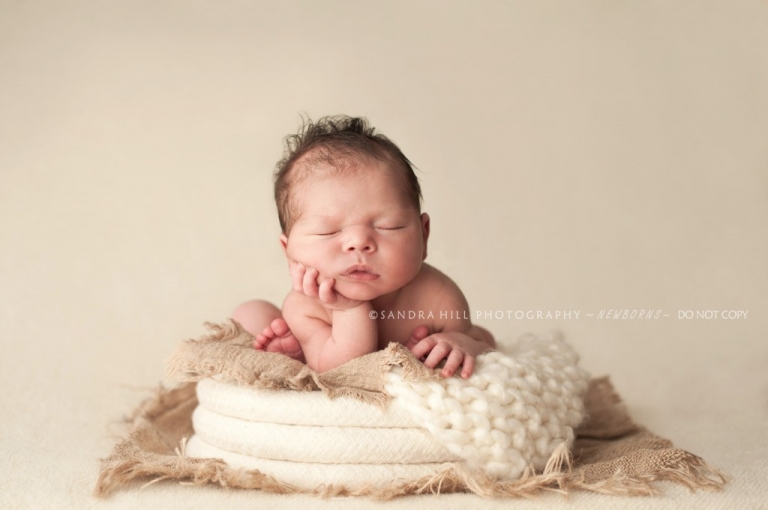 Hamilton Newborn Photographer