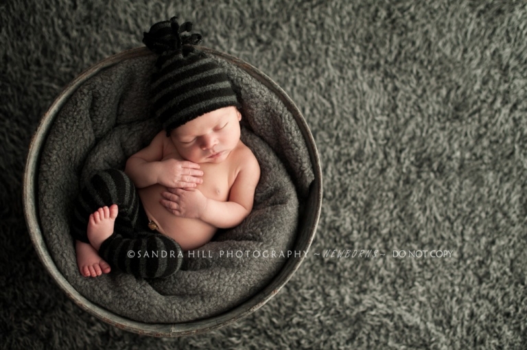 Hamilton Newborn Photographer