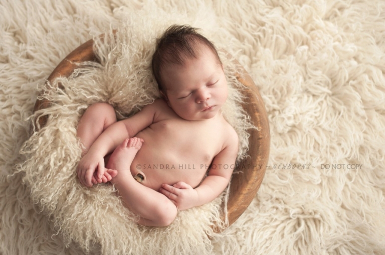 Hamilton Newborn Photography