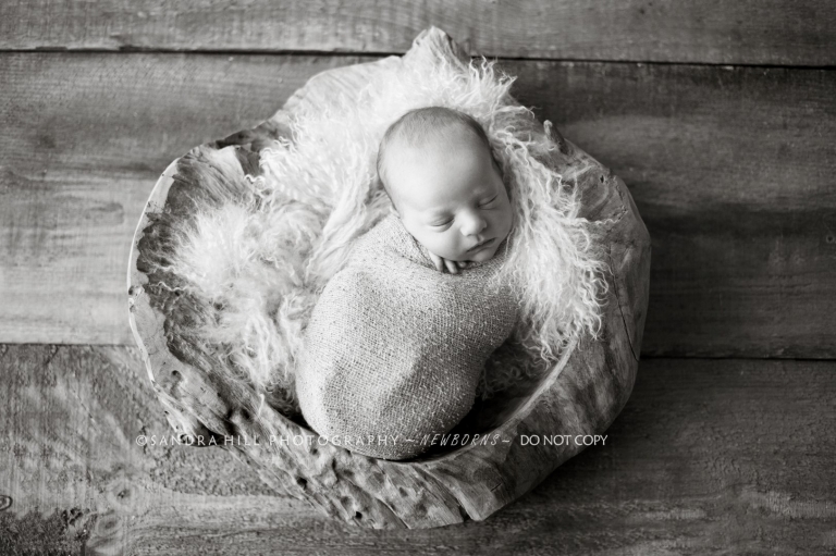 St. George Newborn Photographer