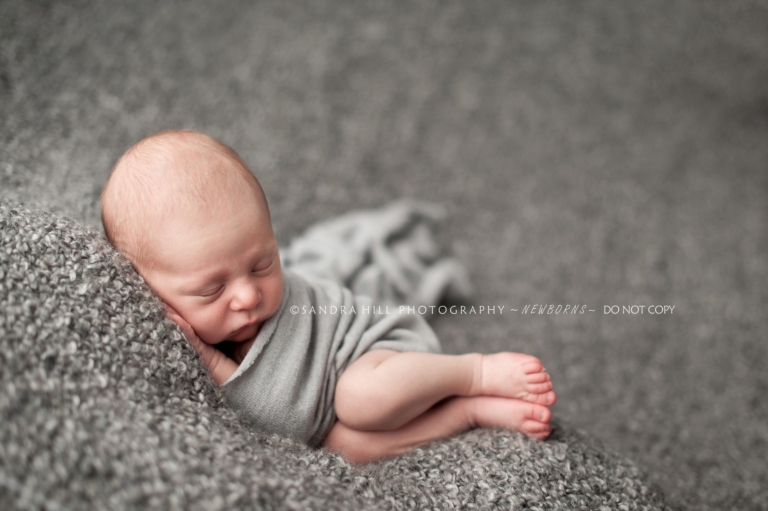 Brantford Newborn Photographer