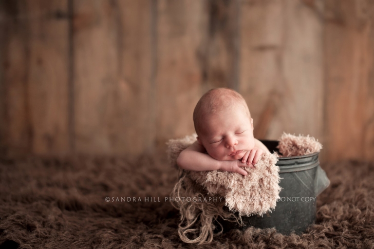 Brantford Newborn Photography