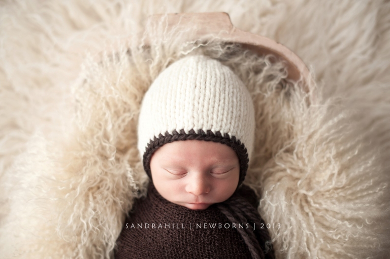 Brantford baby photography
