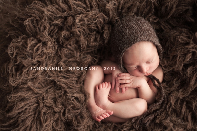 Brantford baby photography
