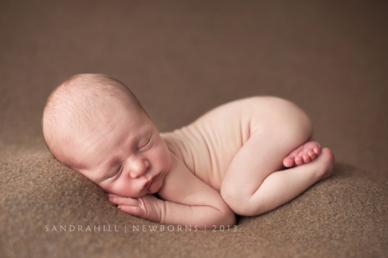 Brantford Newborn Photographer