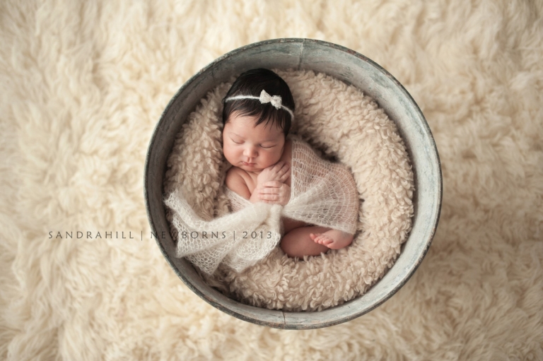 Newborn Photographer | Toronto Ontario