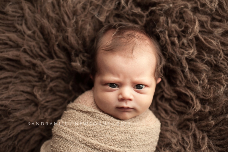 Brantford Ontario Newborn Photographer