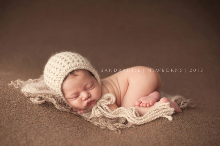 Brantford Ontario Newborn Photographer