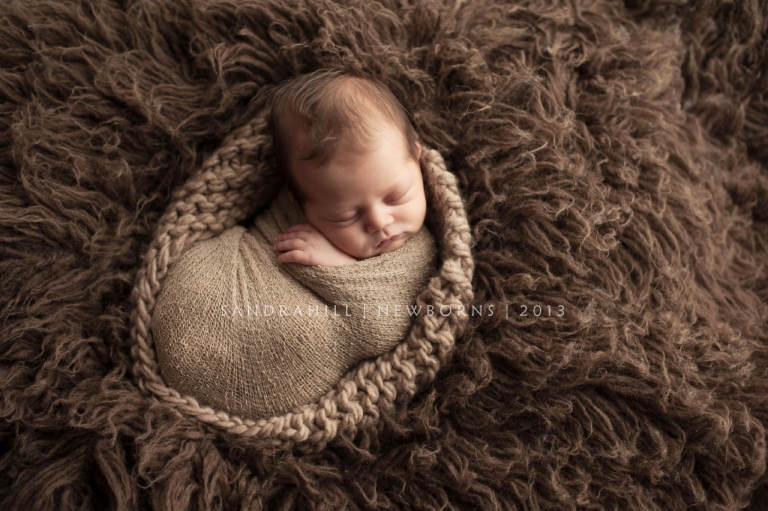 Brantford Ontario Newborn Photographer