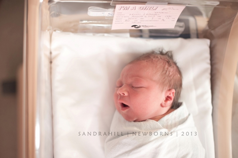 Brantford Ontario Newborn Photography