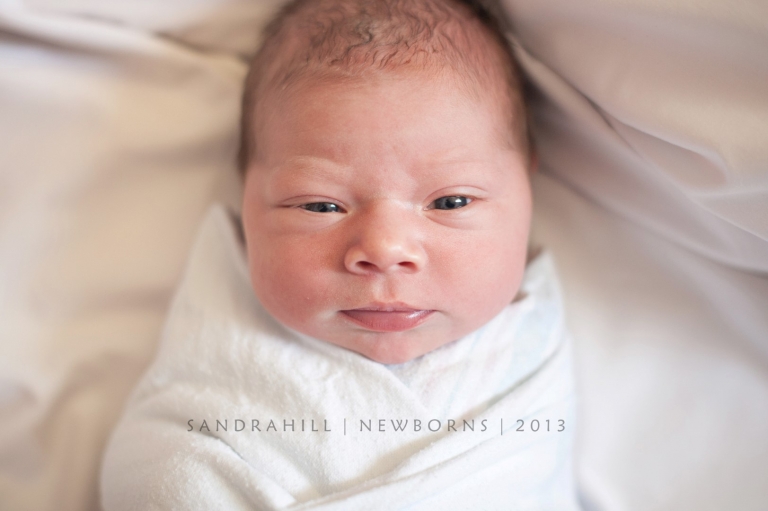 Brantford Ontario Newborn Photography