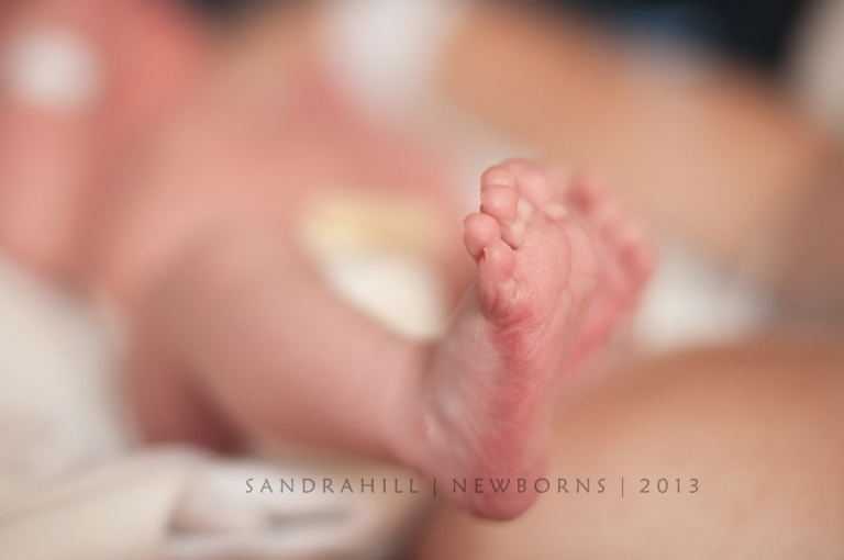 Brantford Ontario Newborn Photography