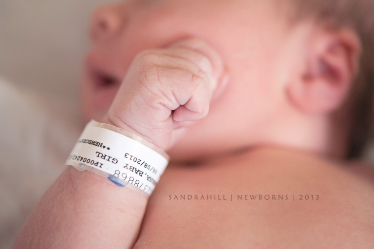 Brantford Ontario Newborn Photography