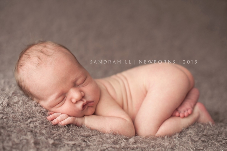 newborn photographer hamilton ontario