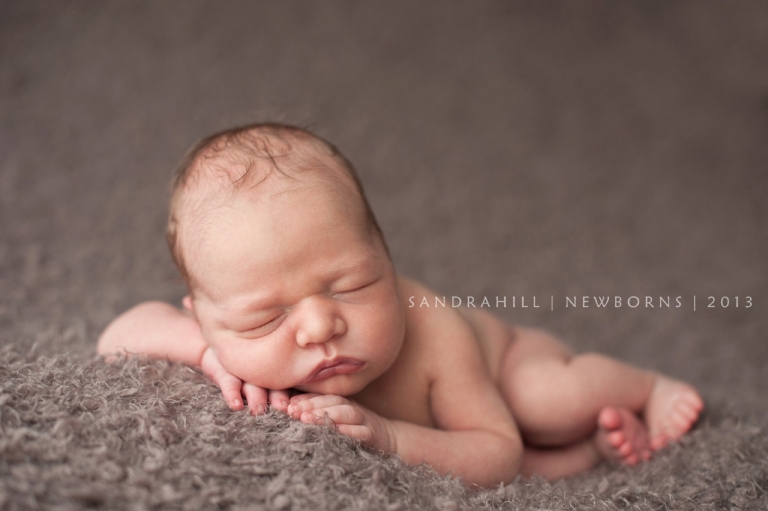 newborn photographer hamilton ontario