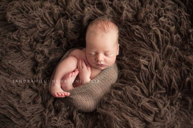 newborn photographer hamilton ontario