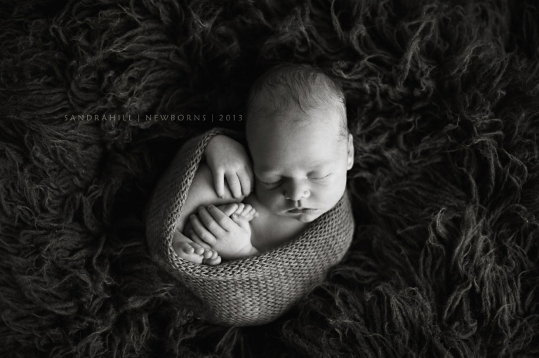 newborn photographer hamilton ontario