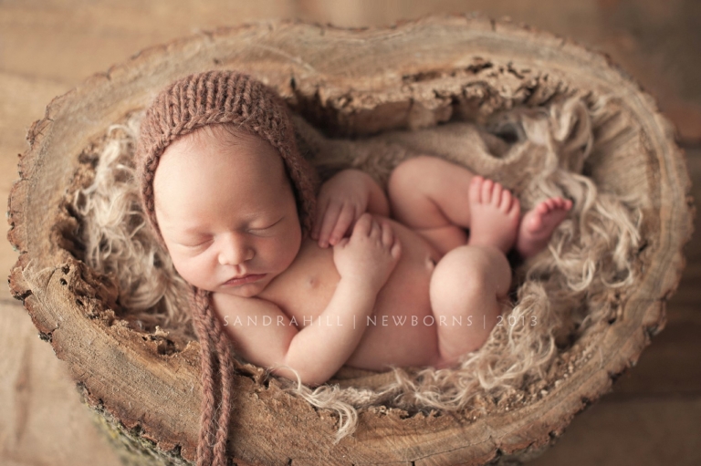 newborn photographer hamilton ontario