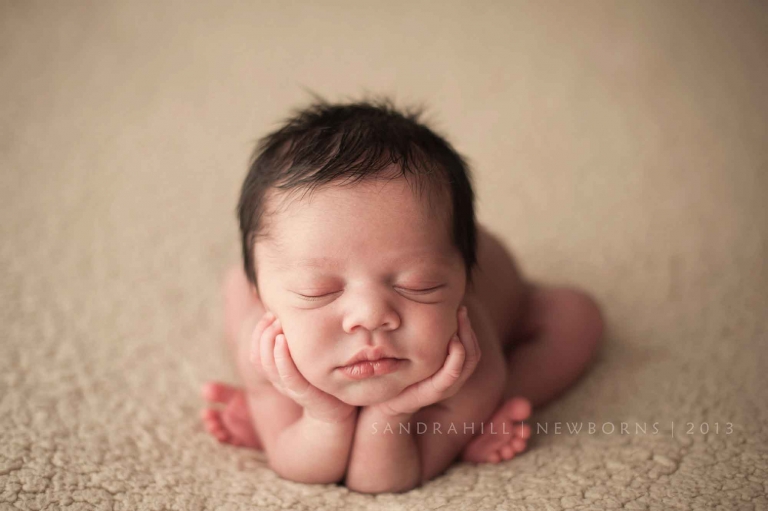 Brantford Newborn Phtography 3