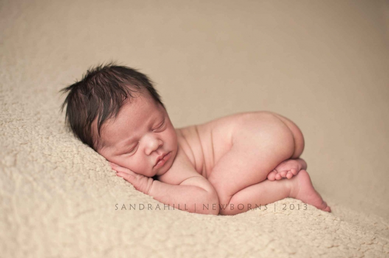 Brantford Newborn Phtography 5