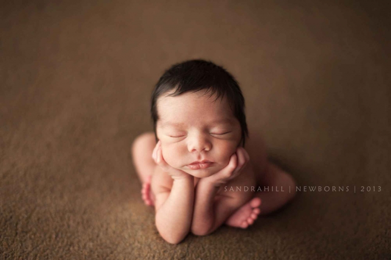 newborn photographer burlington ontario