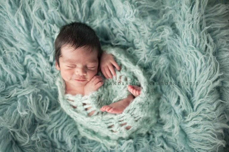 newborn photographer burlington ontario