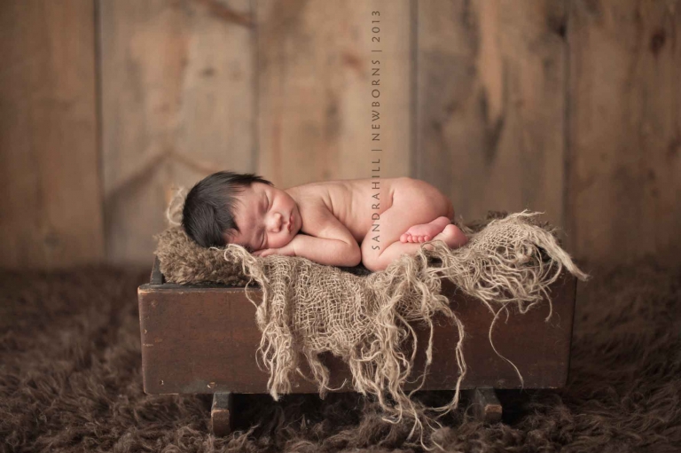 newborn photographer burlington ontario