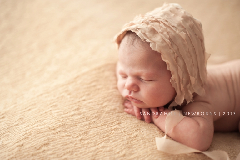 Hamilton Ontario Newborn Photography