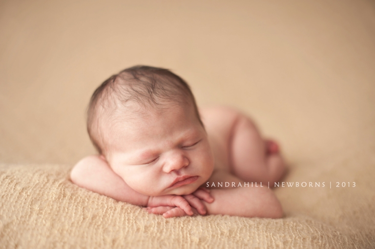 Hamilton Ontario Newborn Photography