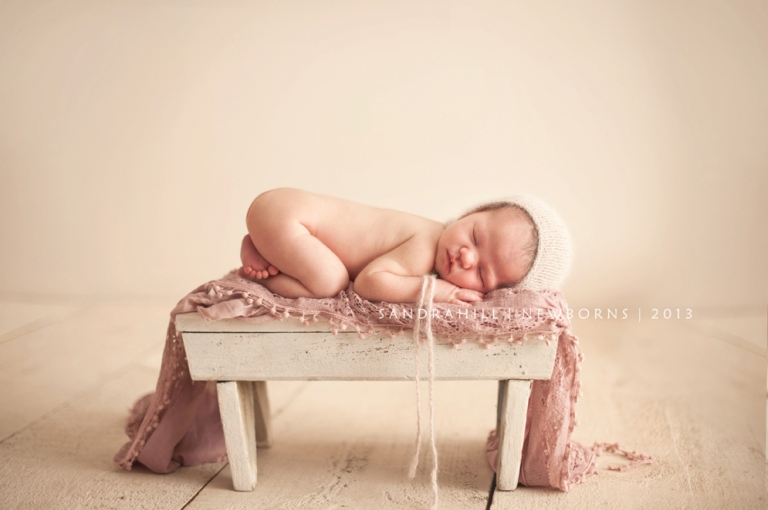 Hamilton Ontario Newborn Photography
