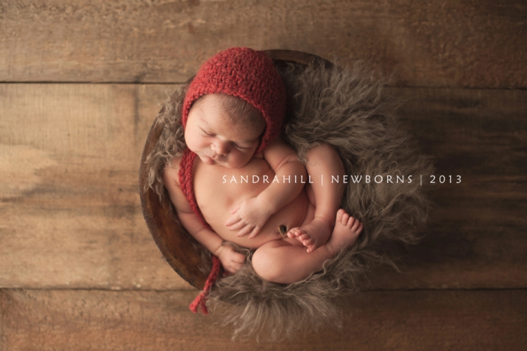 baby photographer Brantford Ontario