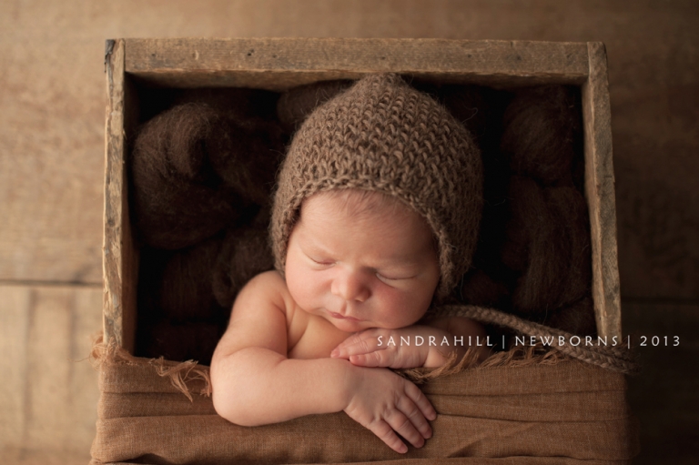 baby photographer Brantford Ontario