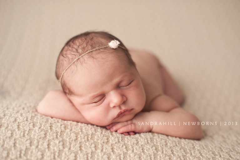 Hamilton Ontario Baby Photography