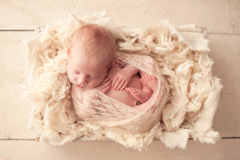 Hamilton Ontario Newborn Photographer