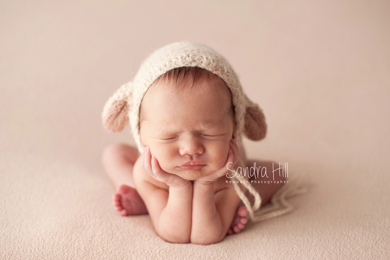 newborn photographer hamilton ontario