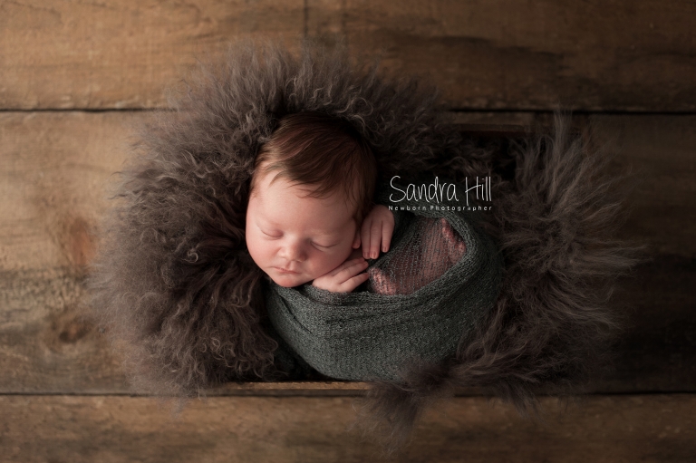 Ontario Newborn Photography4