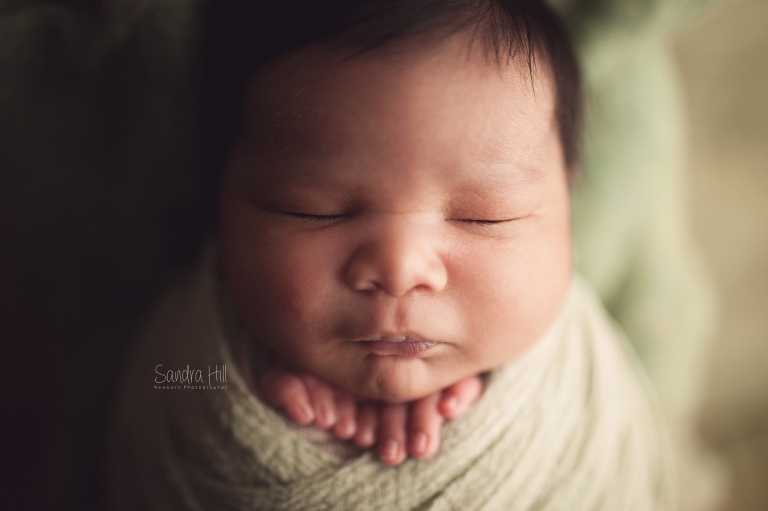 newborn photographers hamilton ontario