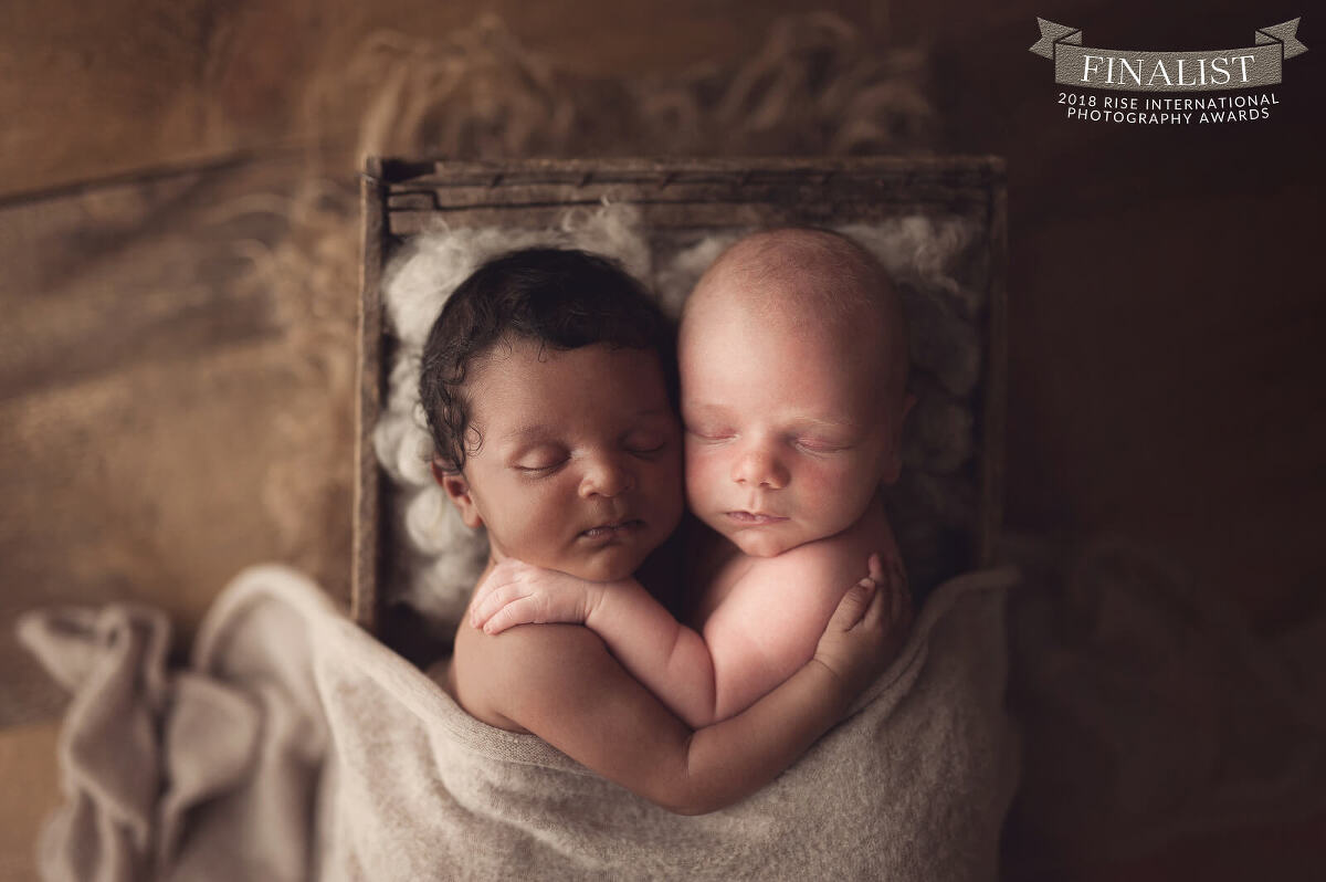 brantford newborn baby photography
