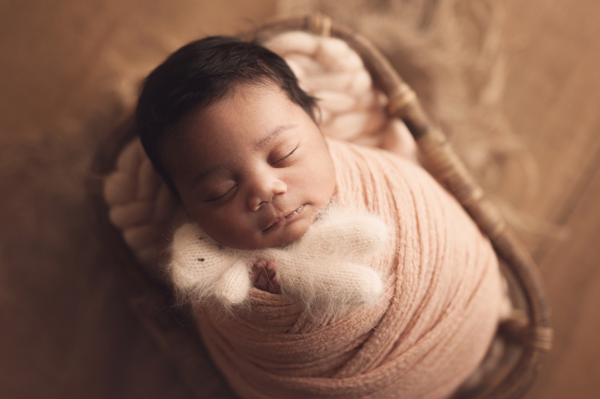 Guelph, Ontario Newborn Photographer
