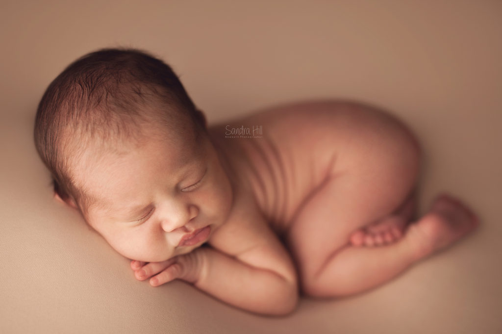 Cambridge, Ontario Newborn Photographer, Brantford newborn photography, Hamilton newborn portrait studio