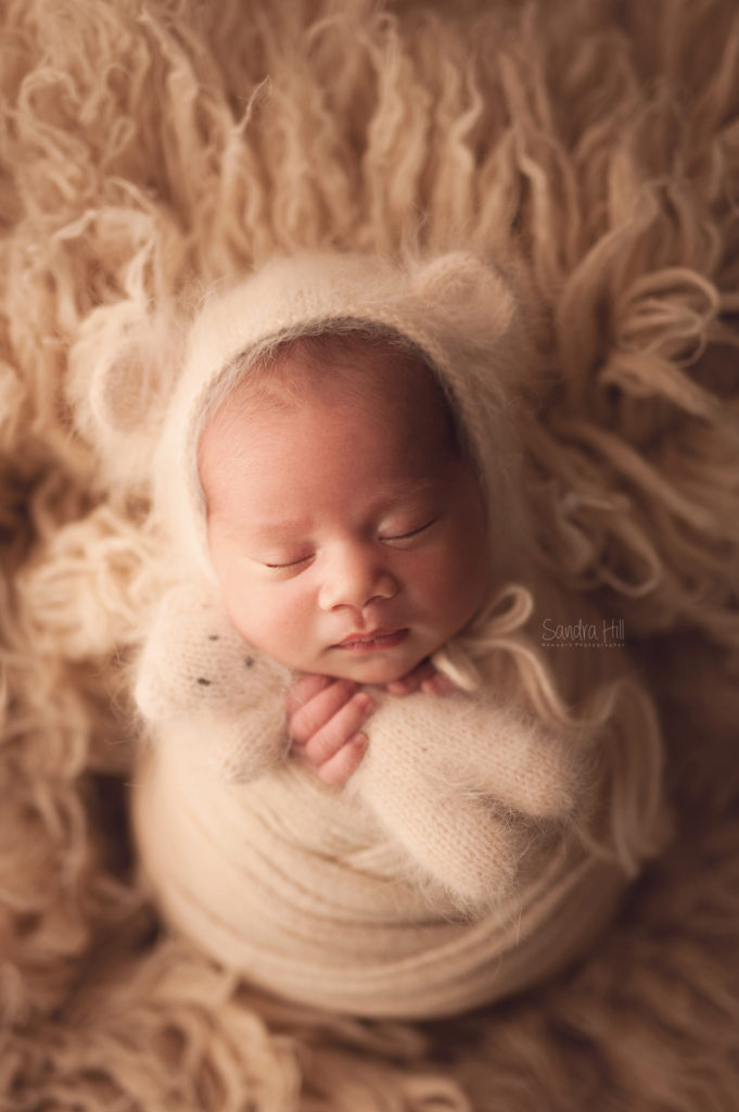 Caledonia, Ontario Newborn Photographer